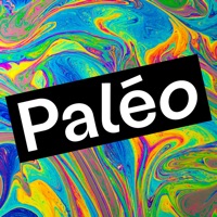 Paléo Festival Nyon 2026 pour PC