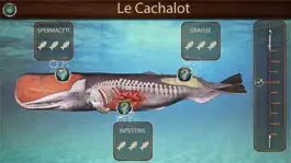 Game screenshot Cachalinot du Musée de la Mer apk