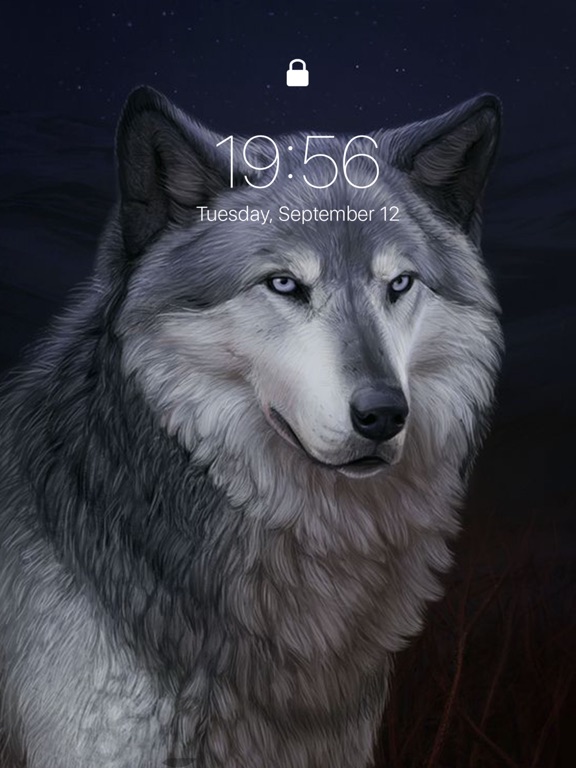 White Wolf iPhone Wallpaper  Animal wallpaper Wolf pictures Wolf  wallpaper