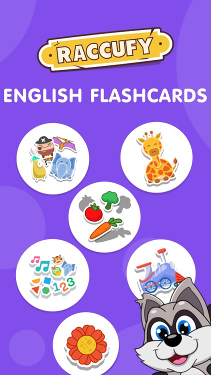 Raccufy - English flashcards