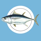 MadeiraFish