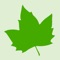 Test and improve your information answering the questions and learn new knowledge about botany and plant biology by this app