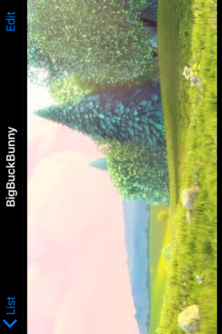 M3u8 Stream player - náhled