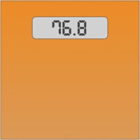 Fastest Weight Tracker pour PC