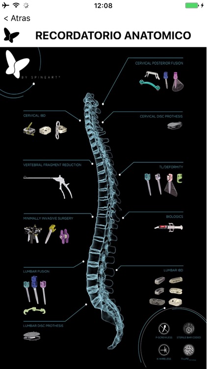 Spineart Spain