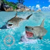 Scuba &amp; Shark Game – Hunting