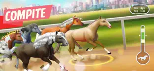 Billede 5 Horse Haven World Adventures iphone
