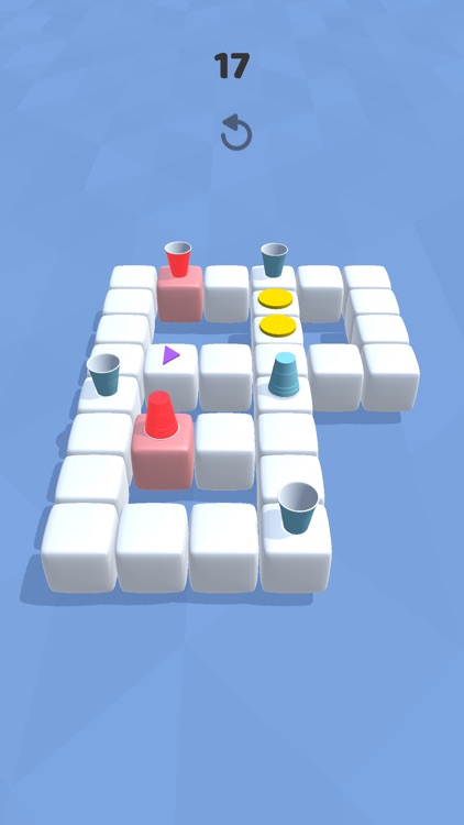 Cup Puzzle 3D