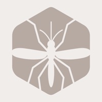 Mosquítalo pour PC