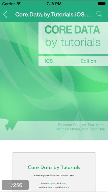 PDF Reader - Mini Version