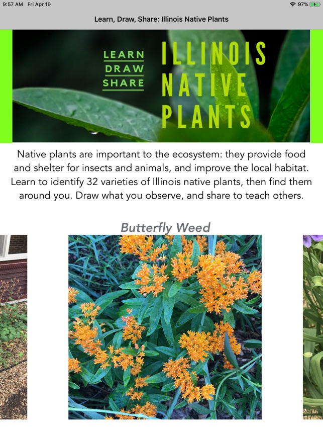 Illinois Native Plants(圖1)-速報App