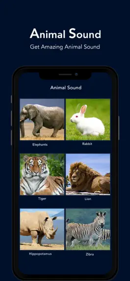 Game screenshot Animal Sound - Zoo Fun apk