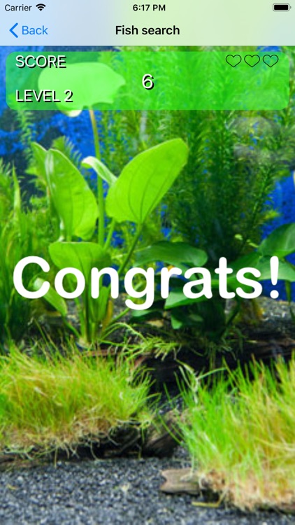 Aquarium Memorize game