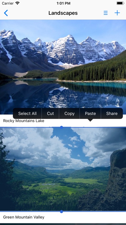PhotoAlbum-Pro