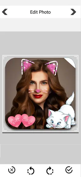 Game screenshot Animal Face Sticker mod apk