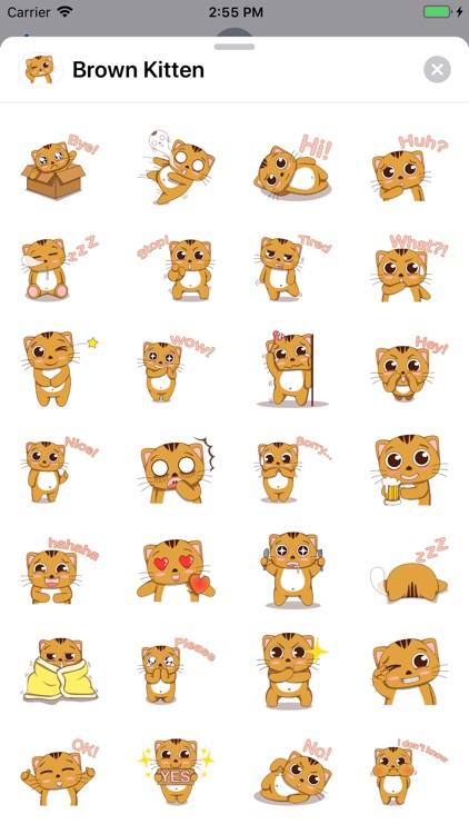 Cute brown kitten sticker