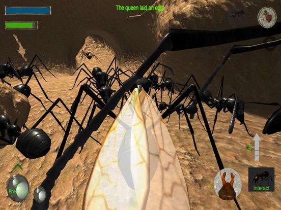 Ant Simulation 3D Full для iPad