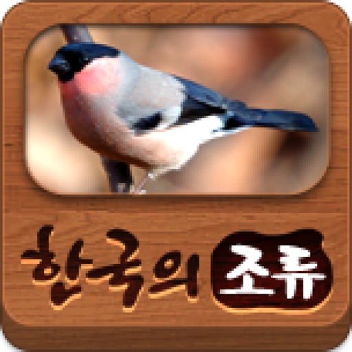 한국의조류 icon