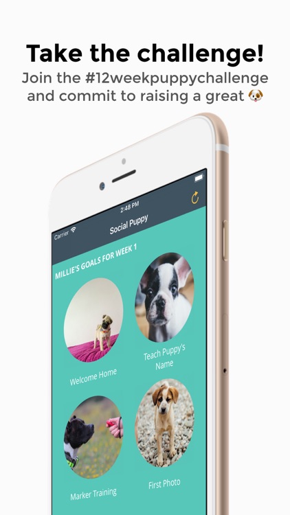 Social Puppy: Dog Training App screenshot-4
