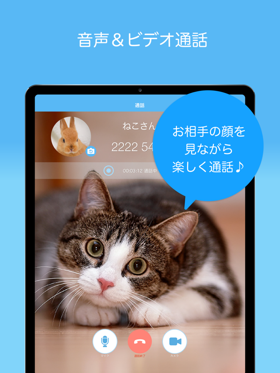 Skyphone 高音質通話アプリ By Quadsystem Co Ltd Ios 日本 Searchman アプリマーケットデータ