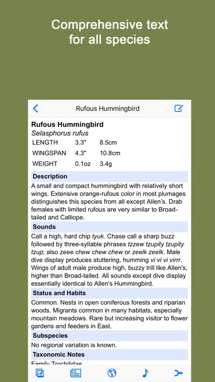 Sibley Guide to Hummingbirds