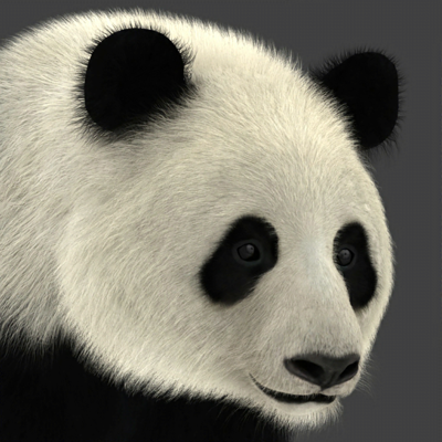 Panda AR