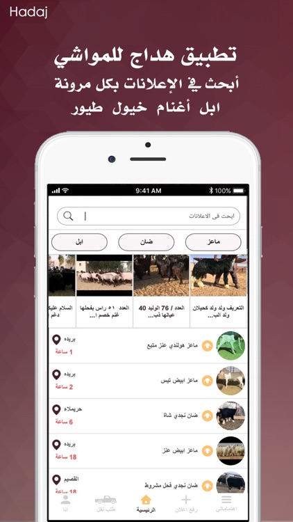 Hadaj | سوق هداج للمواشي‎