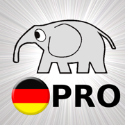 Deutsch Grammatik Test PRO