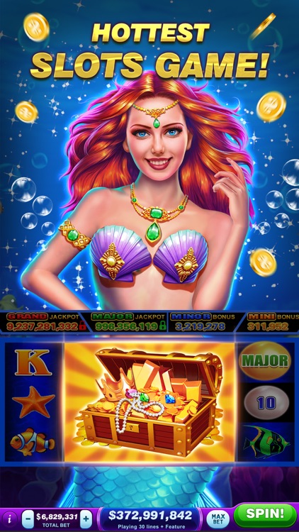 Double Win Casino Slots Game screenshot-4