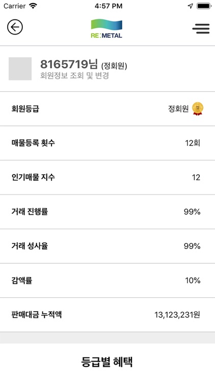 리메탈 screenshot-3