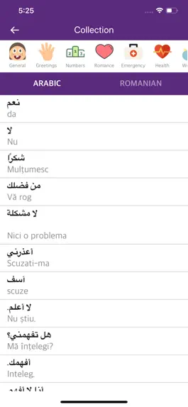 Game screenshot Arabic Romanian Dictionary apk