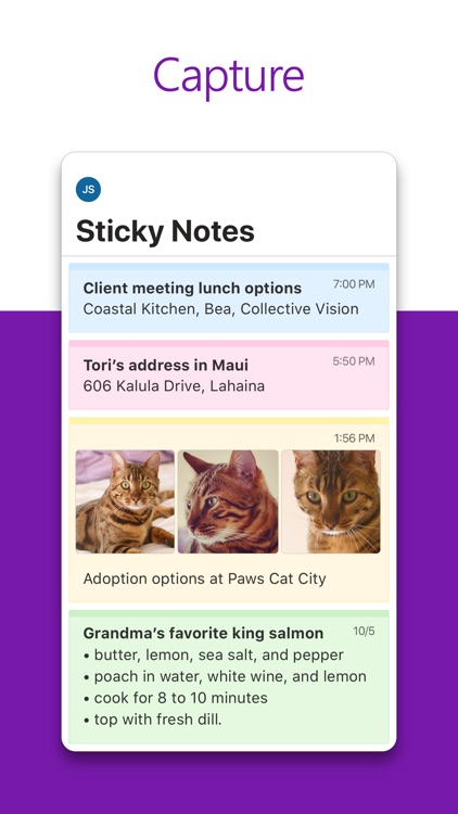 Microsoft OneNote screenshot-0