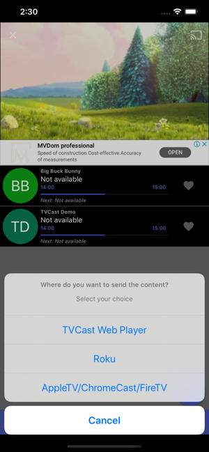 ‎TVCast IPTV on your TV Screenshot