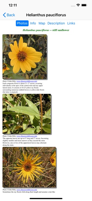 Minnesota Wildflowers(圖3)-速報App