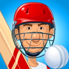 Activities of Stick Cricket 2