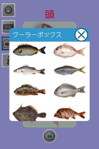 教えて!魚 screenshot 4