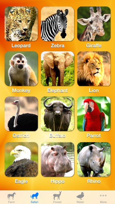 ZOOLA Animals Screenshot 5