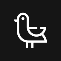 Dazzle - 스토리 에디터 겸 사진 콜라주 메이커 PC 용