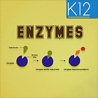 Top 37 Education Apps Like Enzymes and its Properties - Best Alternatives