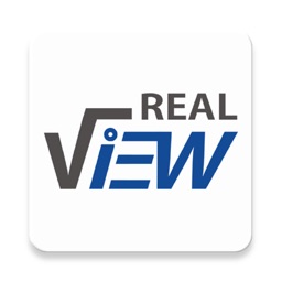 RealView Survey