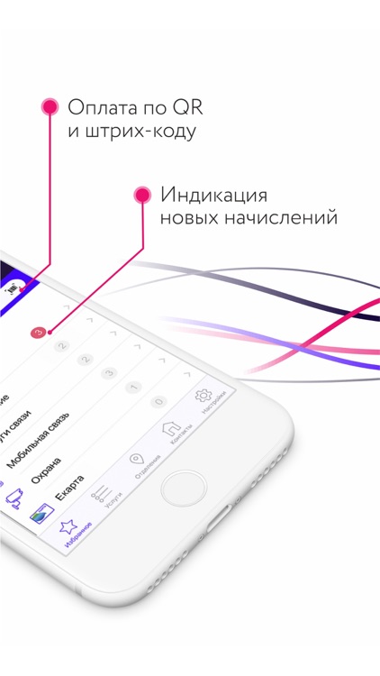 Фрисби24