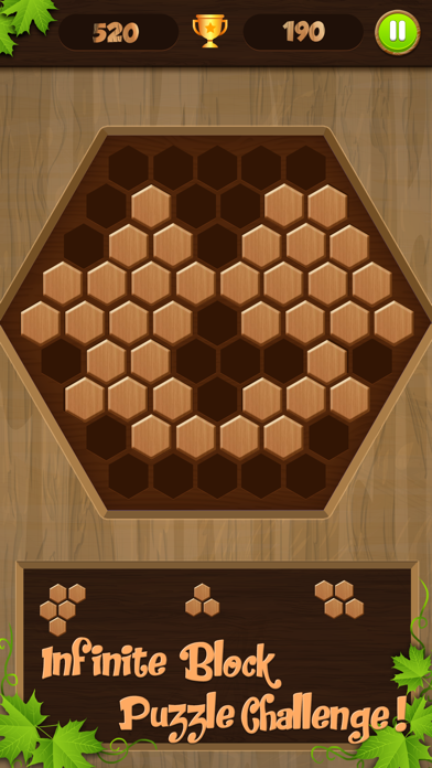 Wooden Jigsaw Block Puzzle screenshot 4