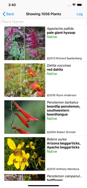 Northern Mexico Wildflowers(圖2)-速報App