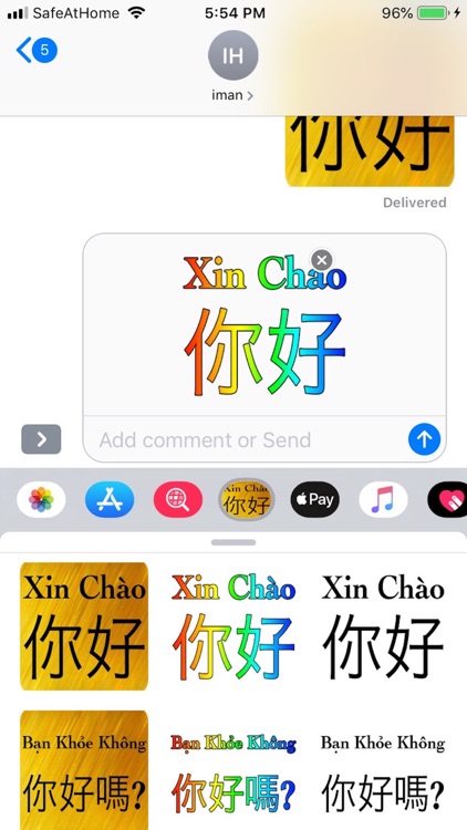 Chinese Vietnames