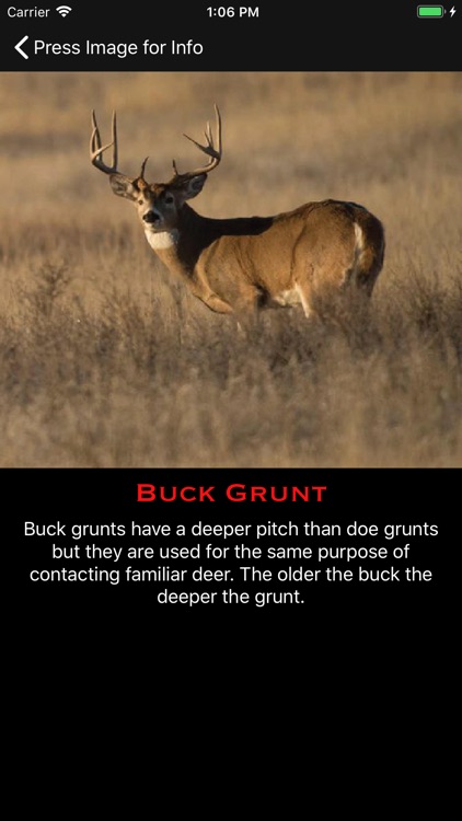 Deer Calls for Whitetail