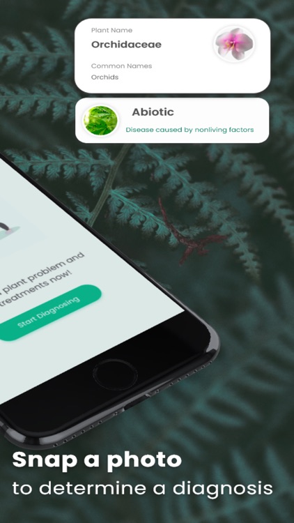 Plant Disease Detection App by yoosef sharafi