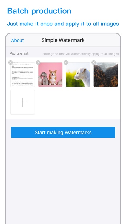 Watermark-Make info safe