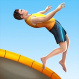 Flip Master download