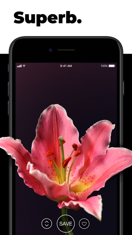 Live Wallpapers for Me screenshot-7