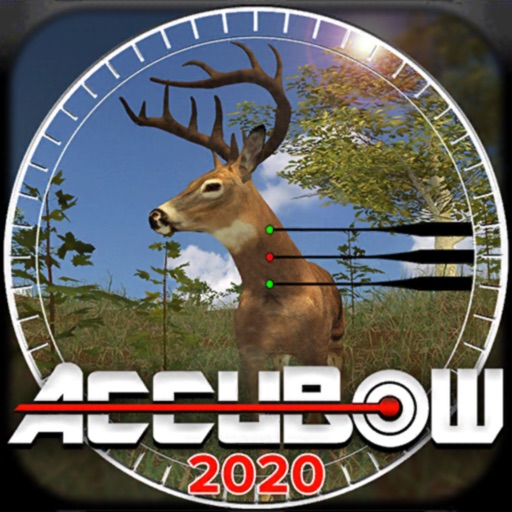 Accubow 2020 Icon